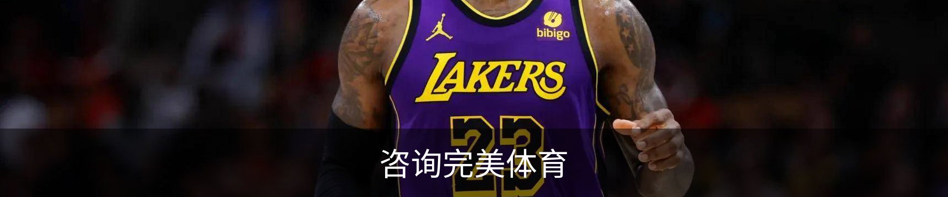 咨询完美体育